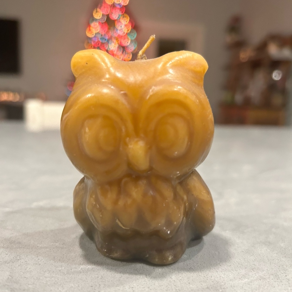 Vintage Ombré Owl Figure Candle by Out of the Ordinary Chicago UNIQUE USA Made